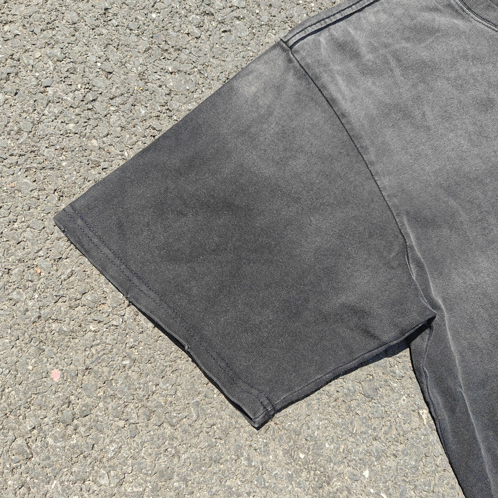 Berserk Griffith & Guts Sacrifice Hawks Vintage Wash Heavyweight Cotton T-Shirt