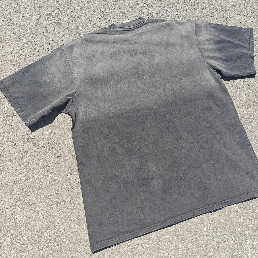 Berserk Griffith & Guts Sacrifice Hawks Vintage Wash Heavyweight Cotton T-Shirt